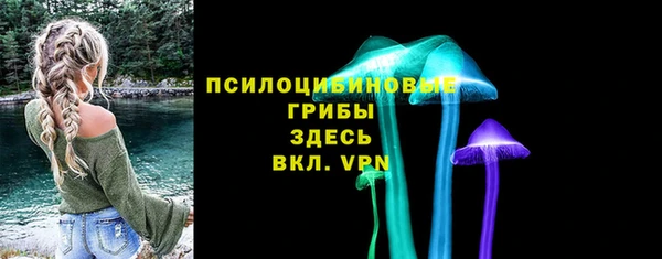 гидропоника Каменка