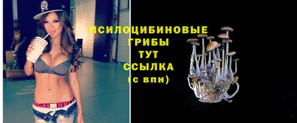 дурь Каменск-Шахтинский