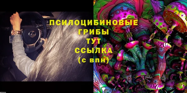 дурь Каменск-Шахтинский
