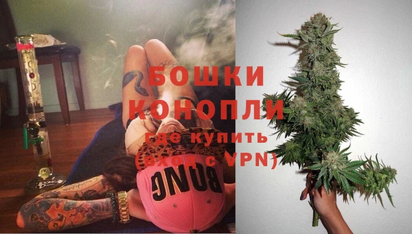 гидропоника Каменка