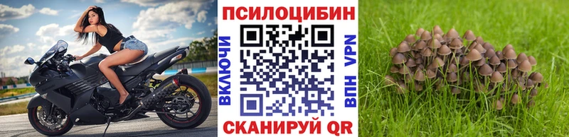 Псилоцибиновые грибы ЛСД  Чкаловск 